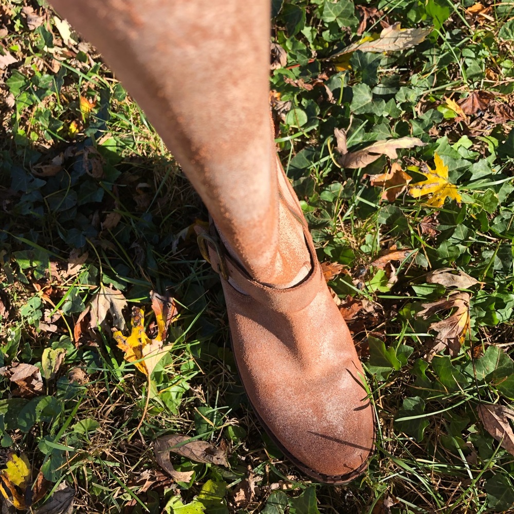 Frye Veronica belted tall chocolate